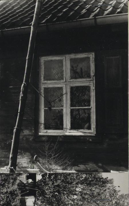 dom, skan 3