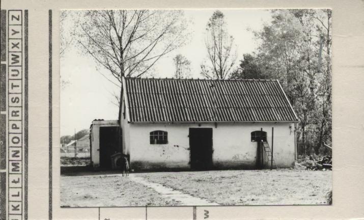 kurnik, skan 2