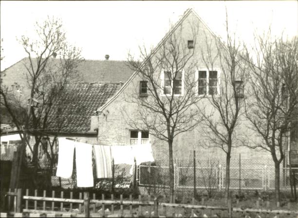dom, skan 3