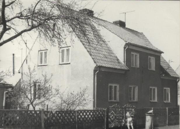 dom, skan 2