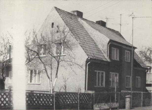 dom, skan 2