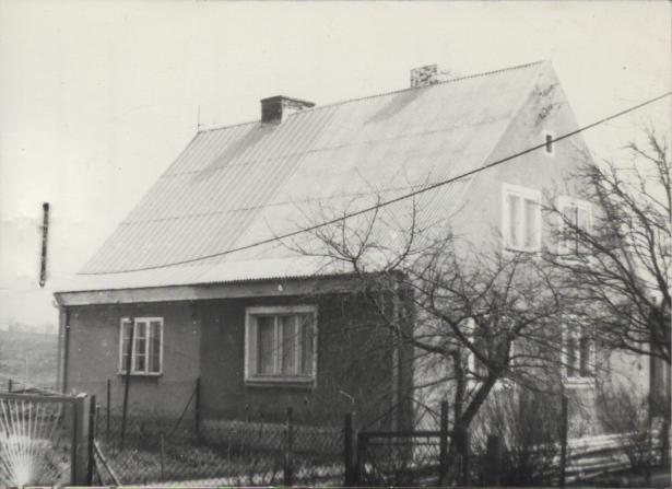 dom, skan 2
