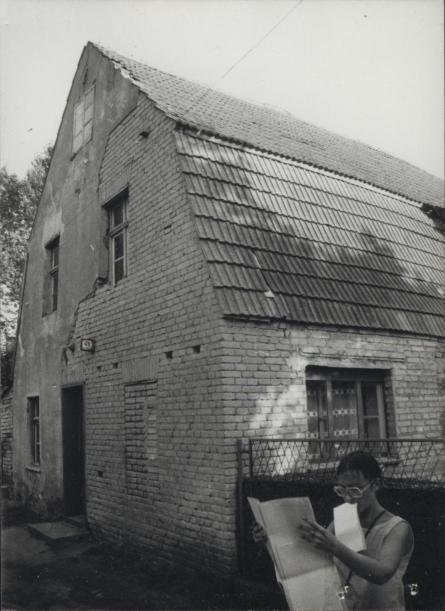dom, skan 2