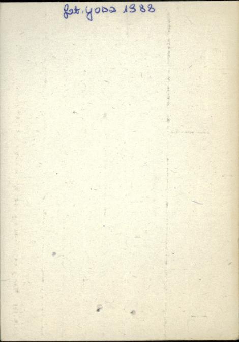 budynek gospodarczy w zagrodzie, skan 2