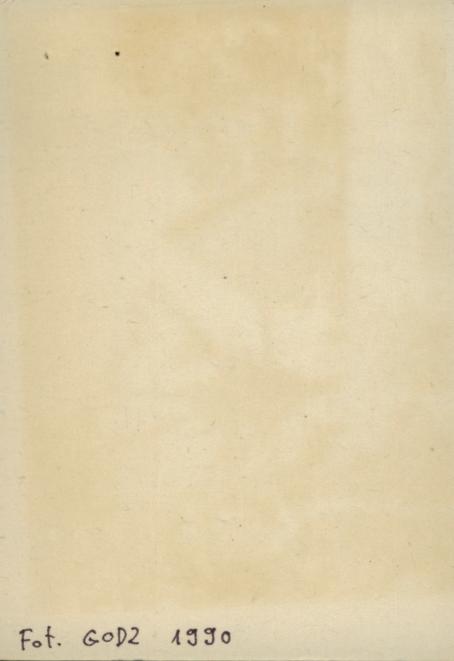 leśniczówka, skan 2