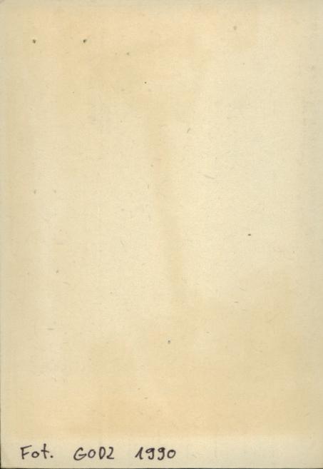 obora/stodoła leśniczówki, skan 2