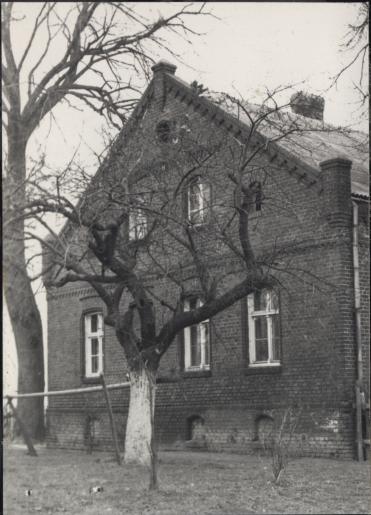 dom, skan 4