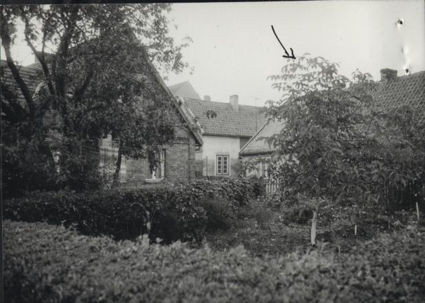dom, skan 3