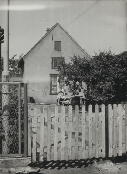 dom, skan 3