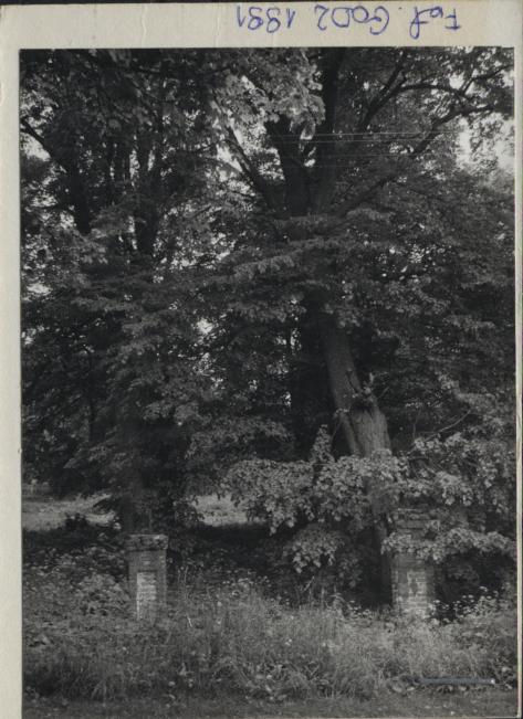 brama w zespole dworsko-pałacowym, skan 2