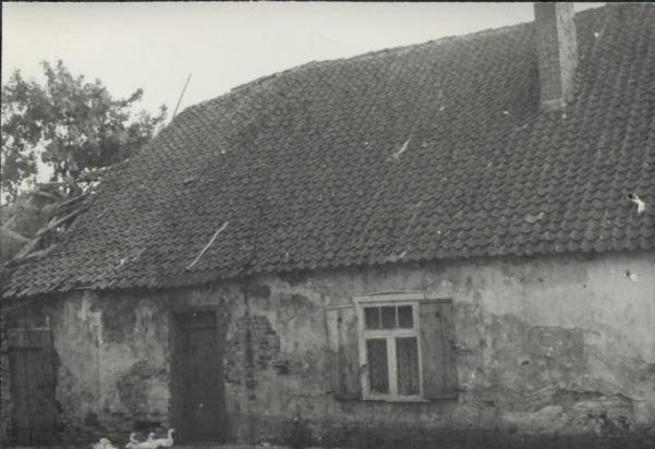dwór, skan 3