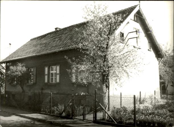 dom, skan 3