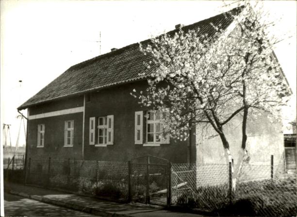 dom, skan 3