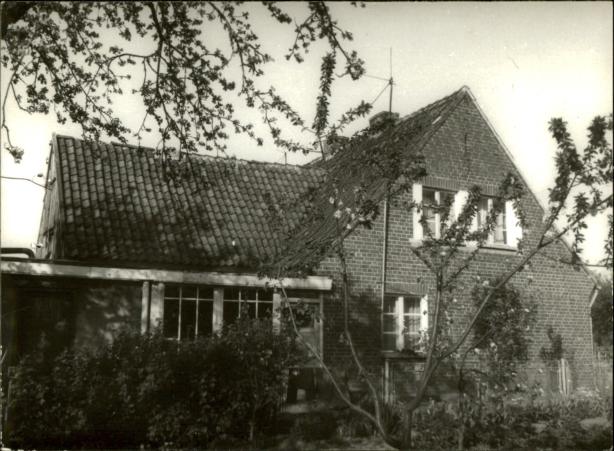 dom, skan 4