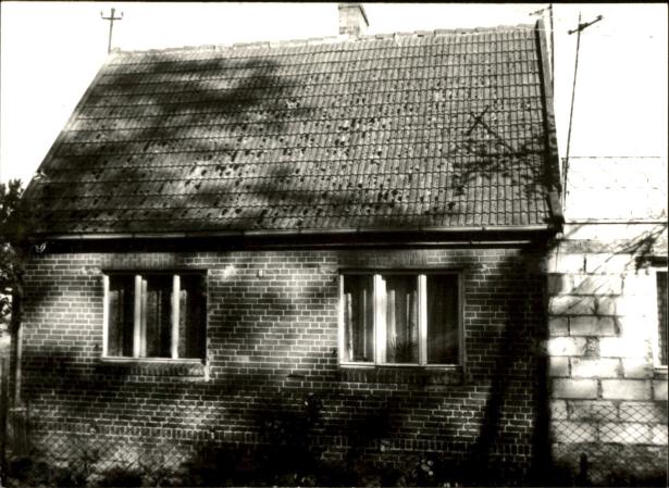 dom, skan 3