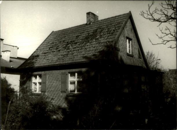 dom, skan 4