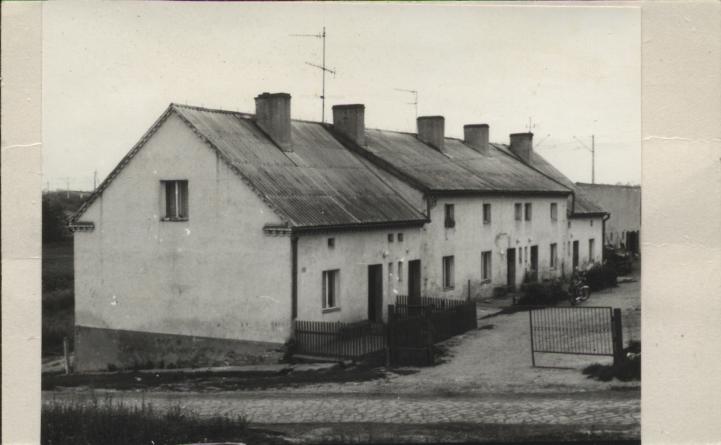 czworak, skan 2