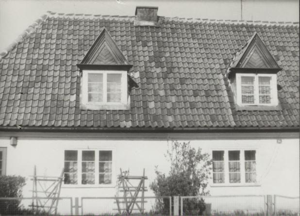 dom, skan 3