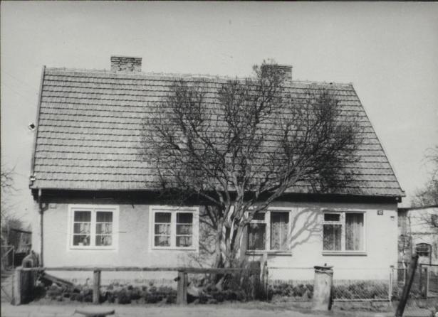 dom, skan 3