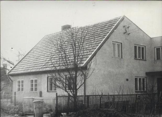 dom, skan 3