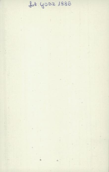 frag. ogrodzenia z bramą, skan 2