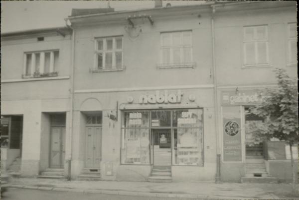 dom, skan 2