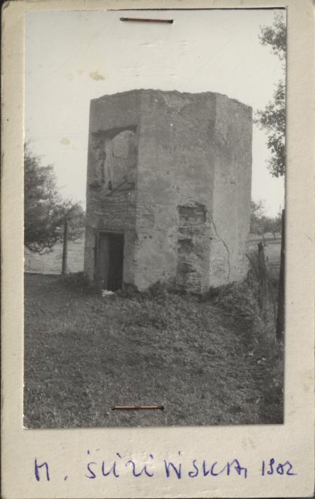 ruiny baszty w zespole pałacowym, skan 2