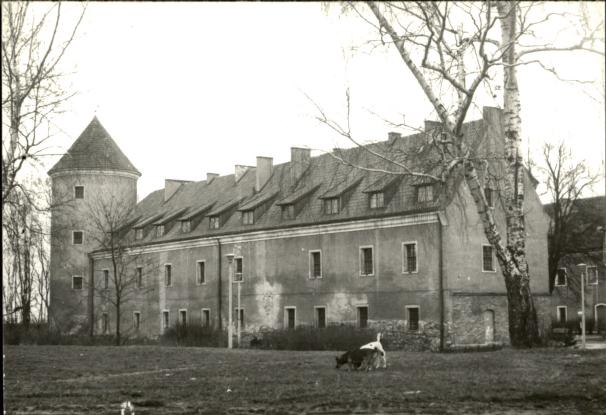 zamek, skan 3