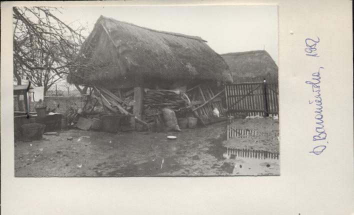 zagroda (szopka), skan 2
