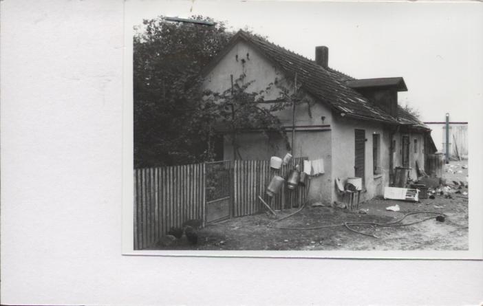 zespół domu - obórka, skan 2