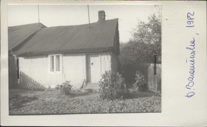 dom, skan 2