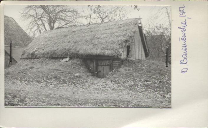 piwnica, skan 2