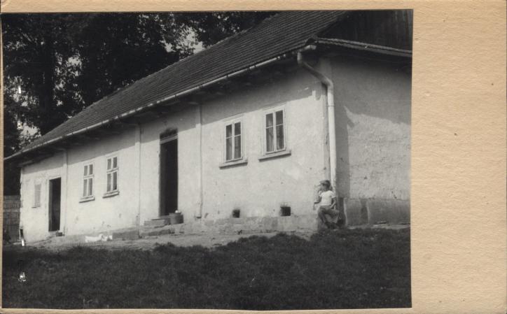 dom, skan 2