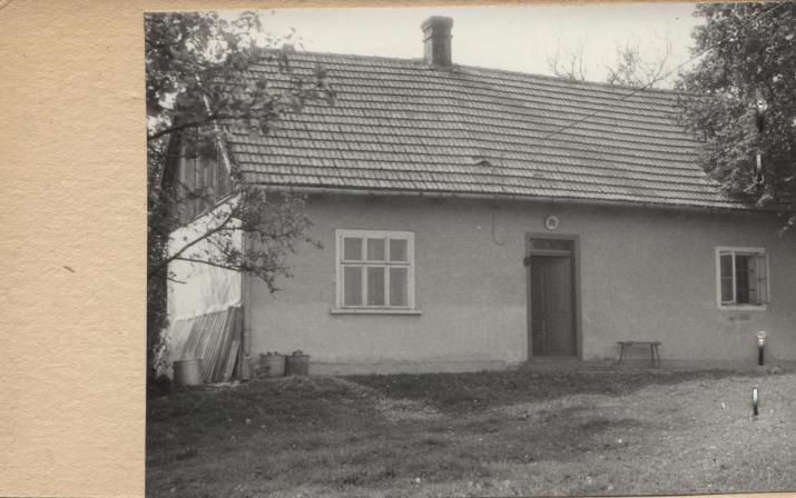 dom, skan 2