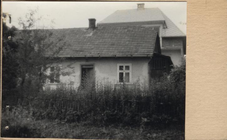 dom, skan 2