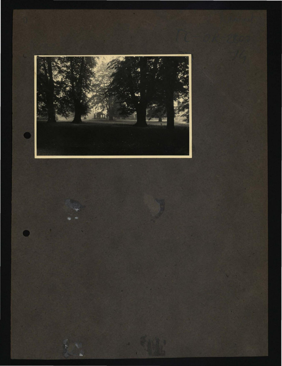 12 fotografii czarno-białych przedstawiających miejscowy park, skan 4