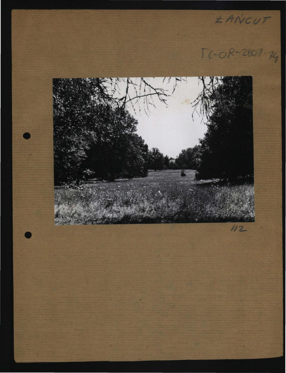 12 fotografii czarno-białych przedstawiających miejscowy park, skan 11