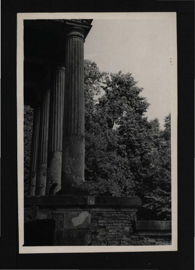 2 fotografie czarno-białe przedstawiające dorycką kolumnę przy miejscowym pałacu, skan 1
