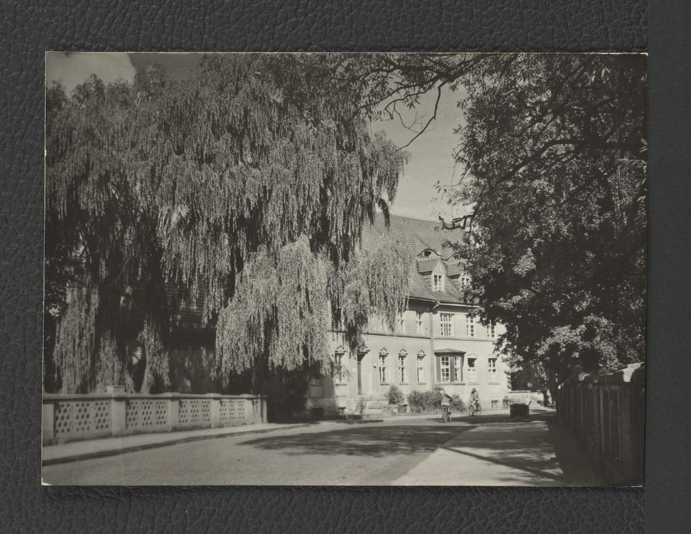 fotografia czarno-biała przedstawiająca tzw. Aleje Wolności                                    , skan 1