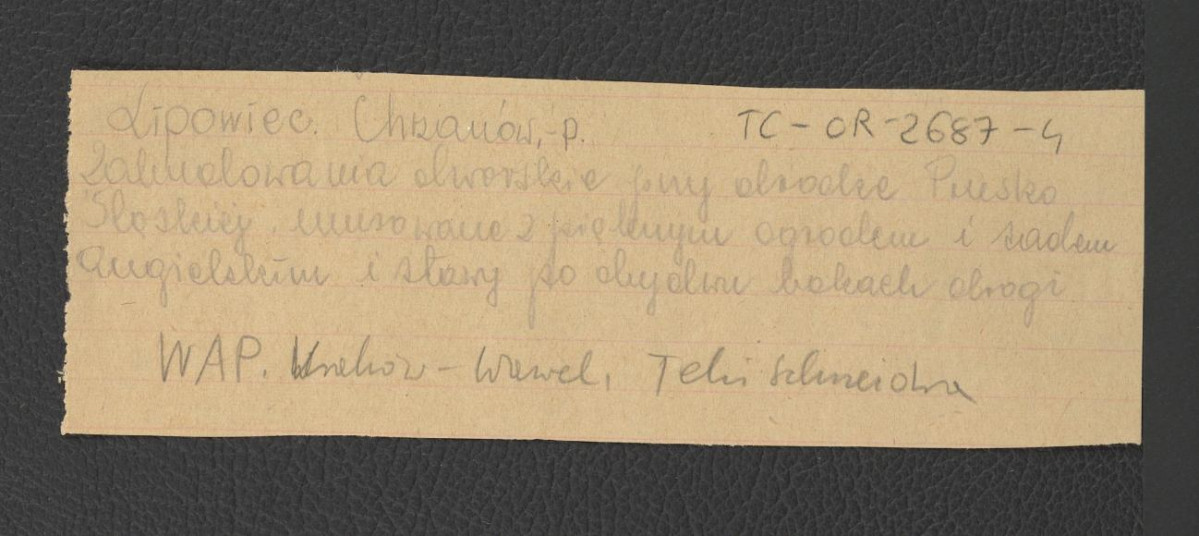 wypis z Teki Schneidra dotyczący zabudowań dworskich oraz parku angielskiego , skan 1