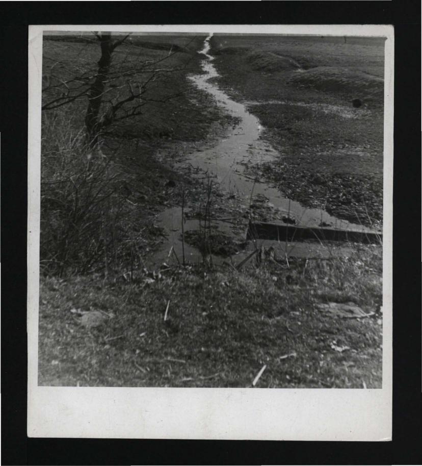 2 fotografie czarno-białe przedstawiające fragment kanału nawadniającego w okolicach pałacowego parku  , skan 2