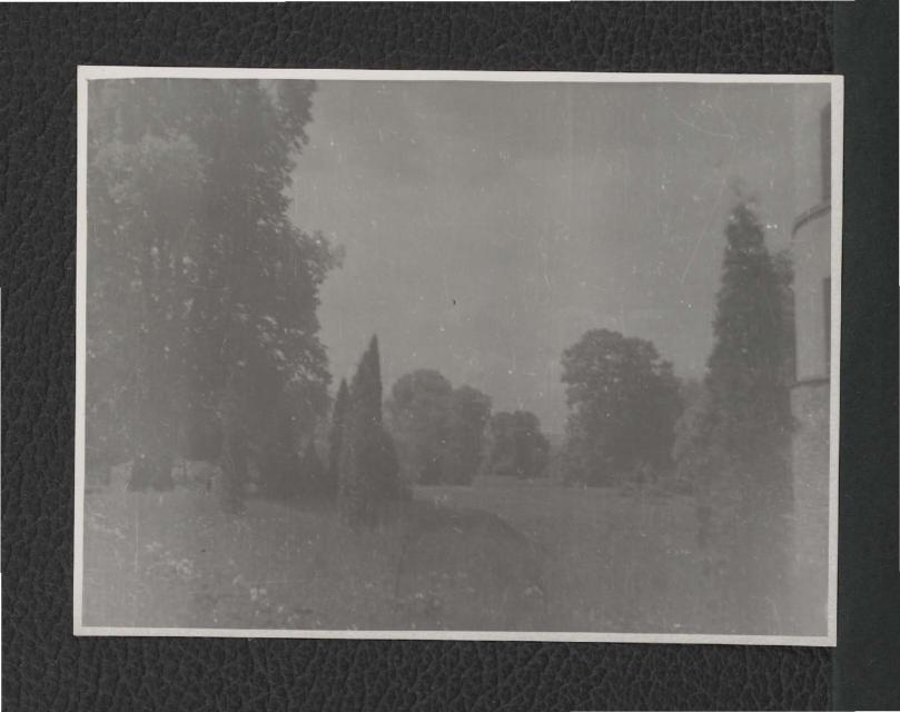 3 fotografie czarno-białe przedstawiające fragment parku przy zamku  , skan 3
