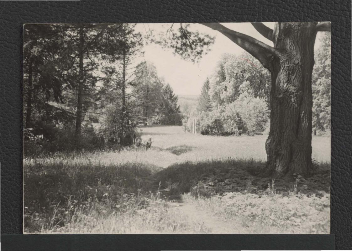 3 fototografie czarno-białe przedstawiające park przy zamku , skan 3