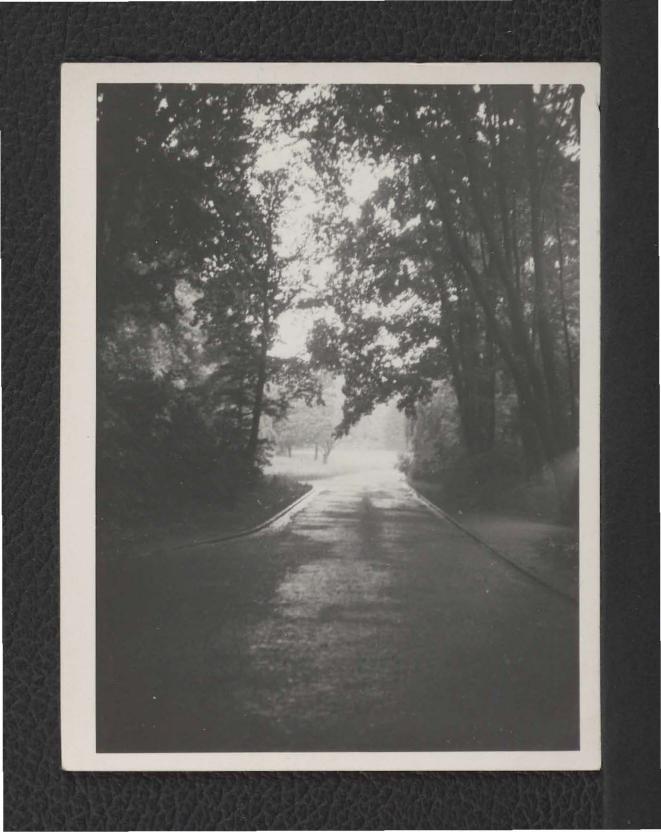 fotografia czarno-biała przedstawiająca miejscowy park  , skan 1