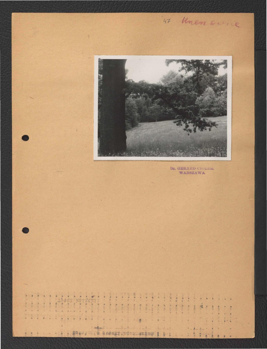 fotografia czarno-biała przedstawiająca miejscowy park  , skan 1