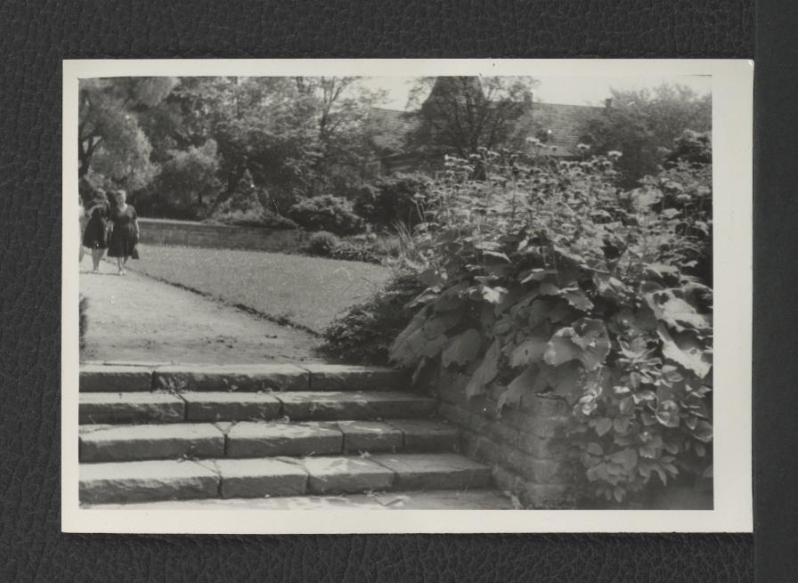 fotografia czarno-biała przedstawiająca schody  , skan 1