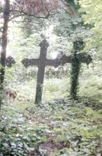 3 negatywy (10 fotografie) zespołu pałacowego oraz fragmentu parku                     , skan 9