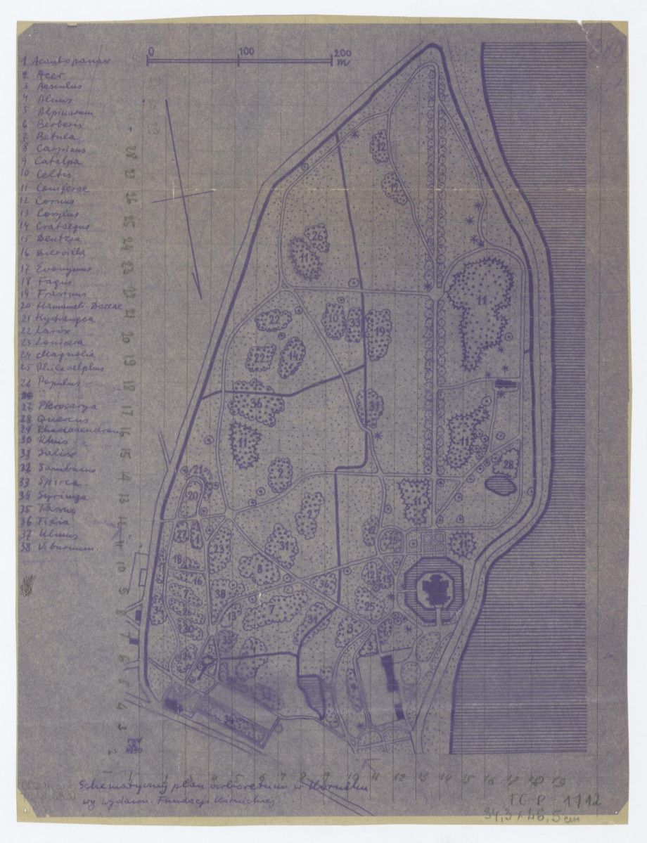schematyczny plan arboretum w Kórniku według wydawnictwa Fundacji Kórnickiej, skala 1:2500, skan 1