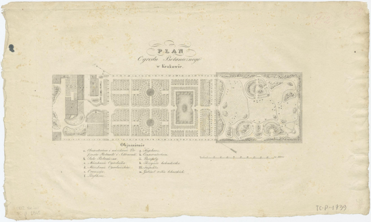 Ogród Botaniczny - plan sytuacyjny., skan 1