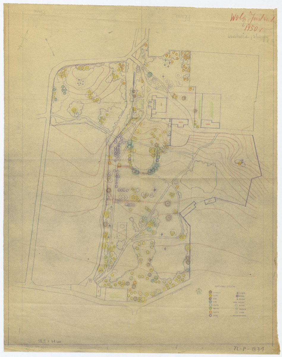 plan sytuacyjno - wysokościowy i inwentaryzacja drzew, skan 1